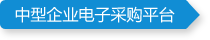 Service-support